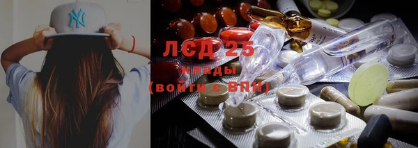 apvp Алзамай