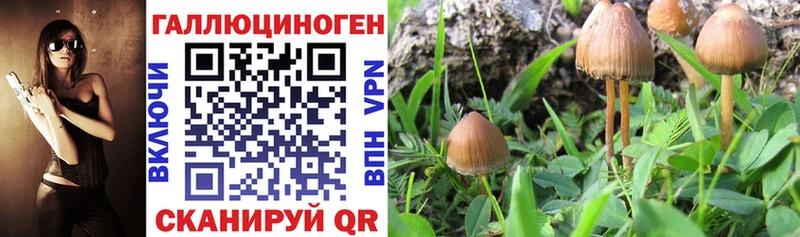 Галлюциногенные грибы мицелий  где купить наркоту  Усть-Лабинск 