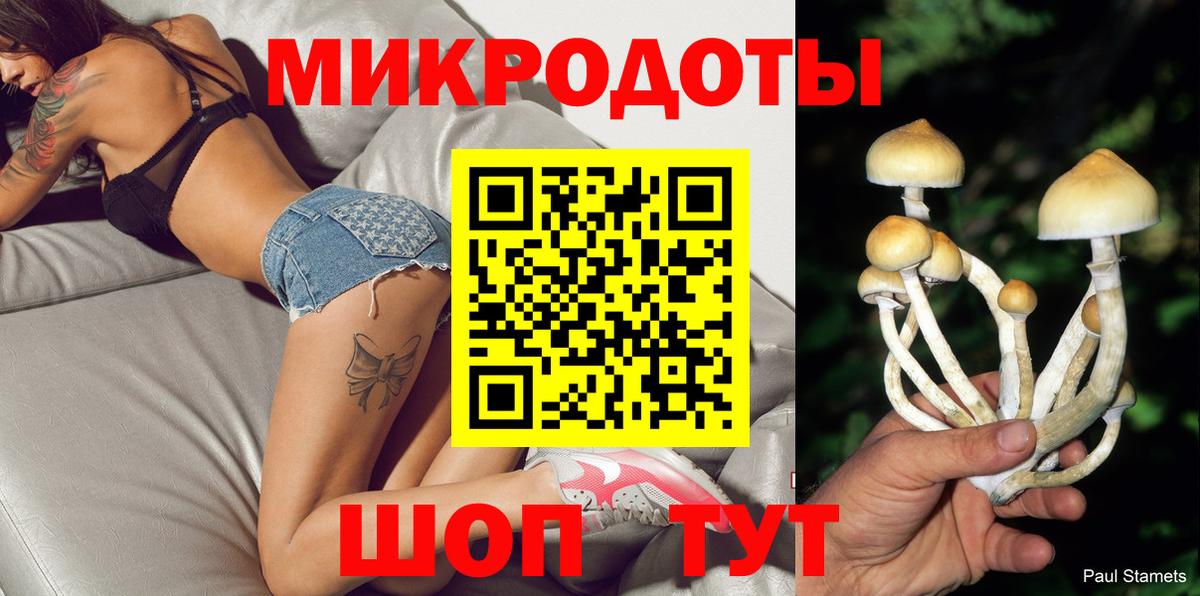 Псилоцибиновые грибы прущие грибы  Вход с VPN  Галлюциногенные грибы мицелий  Усть-Лабинск 