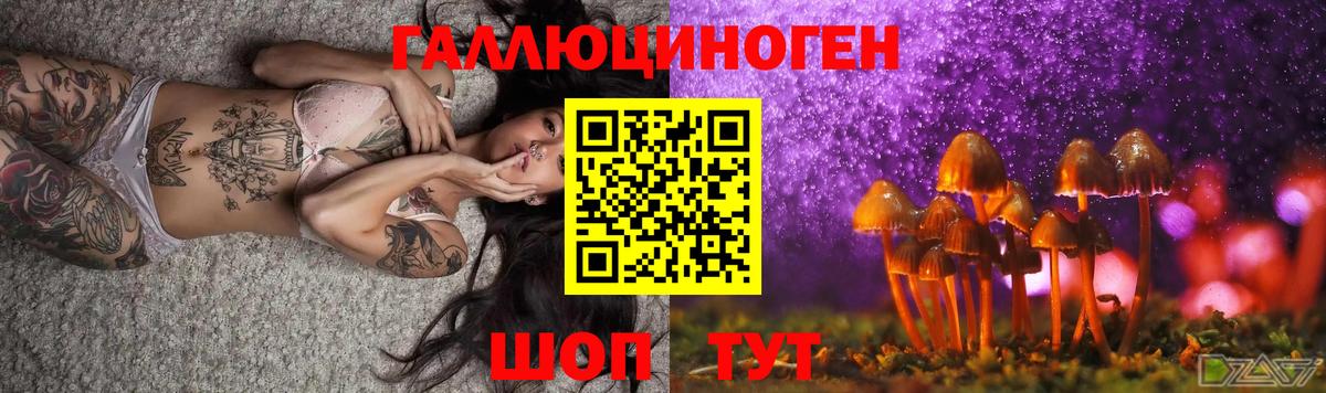 Псилоцибиновые грибы Psilocybine cubensis Усть-Лабинск